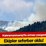 Kahramanmaraş’ta orman yangını!