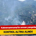 Kahramanmaraş’ta orman yangınları Kontrol Altına Alındı!