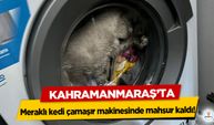 Kahramanmaraş’ta meraklı kedi çamaşır makinesinde mahsur kaldı!
