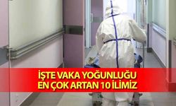 İşte vaka yoğunluğu en çok artan 10 ilimiz