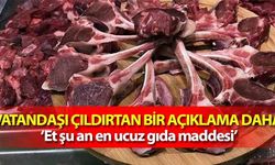 Vatandaşı çıldırtan bir açıklama daha! ‘Et şu an en ucuz gıda maddesi’