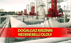 Doğalgaz krizinin nedeni belli oldu! 