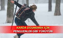 Karda Düşmemek için Penguenler gibi yürüyün