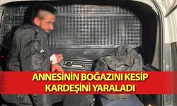 Annesinin boğazını kesip kardeşini yaraladı