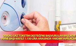 Doğal gaz tüketim desteği'ne başvurular başladı! Hane başı 450 ile 1.150 lira arasında yardım yapılacak