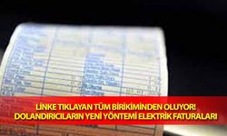 Linke tıklayan tüm birikiminden oluyor! Dolandırıcıların yeni yöntemi elektrik faturaları