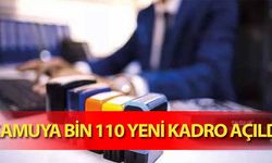 Kamuya Bin 110 Yeni Kadro Açıldı