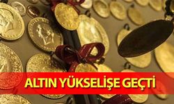 Altın Yükselişe Geçti