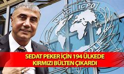 Sedat Peker İçin 194 Ülkede Kırmızı Bülten Çıkardı