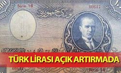 Türk Lirası Açık Artırmada