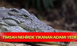 Timsah nehirde yıkanan adamı yedi!