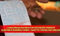 Cumhurbaşkanı Erdoğan müjdesini vermişti! Elektrikte indirimli tarife 1 Mart’ta yürürlüğe girecek