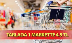 Tarlada 1 Markette 4.5 Tl