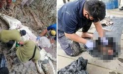 Timsah nehirden mermi gibi fırlayıp genci yuttu!
