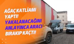 Ağaç katliamı yaptı! Yakalanacağını anlayınca aracı bırakıp kaçtı