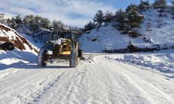 Kahramanmaraş Genelinde Kar Mesaisi sürüyor!