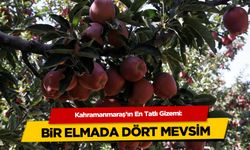 Kahramanmaraş'ın En Tatlı Gizemi: Bir Elmada Dört Mevsim