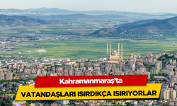 Kahramanmaraş'ta vatandaşları ısırdıkça ısırıyorlar