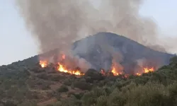 İzmir'deki yangın olayında soruşturma derinleşti: Üç kişi tutuklandı