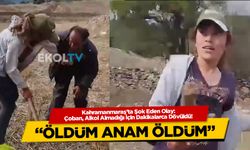 Kahramanmaraş'ta Şok Eden Olay: Çoban, Alkol Almadığı İçin Dakikalarca Dövüldü!