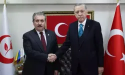 AK Partili isimden Destici'ye gönderme: Bu kararla Cumhurbaşkanımız da mı vatan haini oldu?