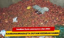 Kahramanmaraş'ta kasa kasa dometesi çöpe attılar