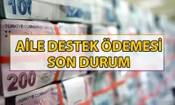 Aile Destek Ödemeleri Bitti mi? 2025'te Yeniden Başlayacak mı?