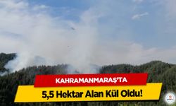 Kahramanmaraş'ta 5,5 Hektar Alan Kül Oldu!