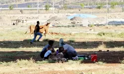Çocuklar kurban kesimini izlemeli mi? Uzmanlar ne diyor?