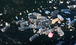 Doğayla Uyumlu Yaşamalıyız: Plastik Kirliliğine Son Ver, Yaşamı Koru!