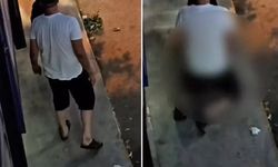 Sokak ortasında köpeğe tecavüz!