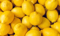 Temmuz'da fiyat rekoru kıran ürün: Limonun fiyatı arttı!