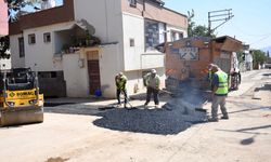 Namık Kemal’de Asfalt Çalışması Başladı