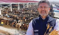Bakan açıkladı! Hastalık baskılandı, 8 ilde hayvan pazarları açılacak