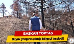 Başkan Toptaş büyük yangının çıktığı bölgeyi inceledi!