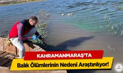 Kahramanmaraş’ta Balık Ölümlerinin Nedeni Araştırılıyor!