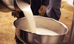 Çiğ süte yüzde 6,8 zam!