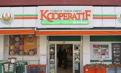 Tarım Kredi Marketleri’nde 5 Litre Ayçiçek Yağı Fiyatları Dipte! Fırsatlar Yarın Sona Eriyor