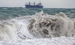 Japonya’da deprem ve tusunami!