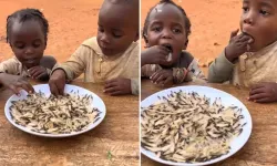 Uganda’da Çocuklar Açlıktan Termit Böceklerini Cips Gibi Yiyor!