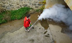Kahramanmaraş’ta Vektör Zararlılara Karşı ilaçlama!
