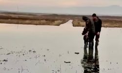 Kahramanmaraş’ta kaçak avcılara geçit yok!