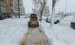 Büyükşehir, Yürüyüş Yollarını da Temizliyor!