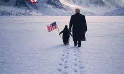 Penguen Olayı Nedir? Nihilist Penguen Hikayesi Nasıl Ortaya Çıktı?