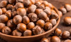 Giresun Fındık Fiyatları Bugün Ne Kadar? 25 Şubat 2026 Serbest Piyasa Güncel Rakamlar