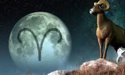 4 Şubat 2026 Koç Burcu Günlük Yorumu: Uranüs İleri Hareketi İş, Para ve Kazanç Alanını Nasıl Etkileyecek?