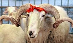 2026 Kurban Bayramı Ne Zaman? Tatil Kaç Gün Olacak, Bayram Tarihleri Belli Oldu