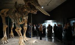 Kahramanmaraş’ta Yaşlılar Haftasında müze gezisi!