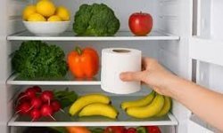 Buzdolabına Tuvalet Kağıdı Koymak Ne İşe Yarar? Koku Gideriyor mu, İşe Yarıyor mu?