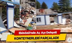 Ekinözü’nde Aç Ayı Dehşeti: Konteynerleri Parçaladı!